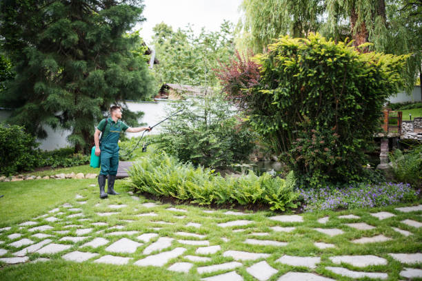 Best Wasp Removal Services  in Loma, CO