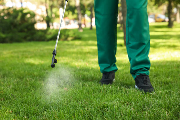 Pest Prevention Services in Loma, CO