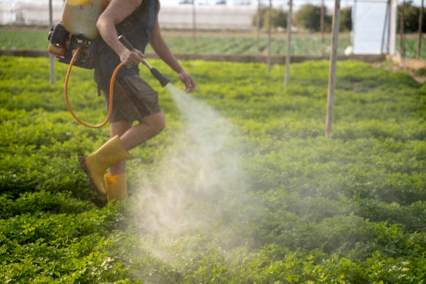 Best Residential Pest Control  in Loma, CO